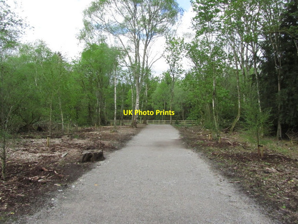 Photo 6"x4" Emo Court near Port Laoise - Path around Emo Lake Emo c2015