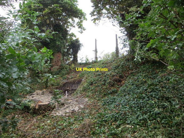 Photo 6"x4" Marker up the Bank Cholsey c2015