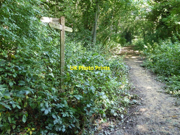 Photo 6"x4" Path junction west of Woodshill Farm West Chiltington c2015