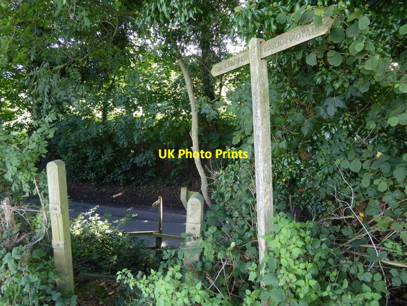 Photo 6"x4" Footpath descends to Broadford Bridge Road West Chiltington c2015