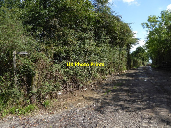 Photo 6"x4" Track heading east from Broadford Bridge Road Broadford Bridge c2015