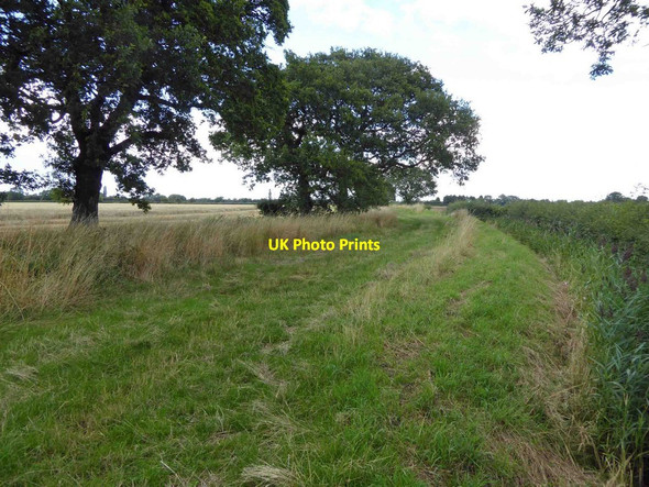 Photo 6"x4" Bridleway to Wrancarr Farm Haywood\/SE5812 c2015