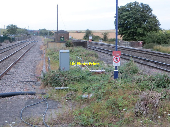 Photo 6"x4" Two in the Middle Cholsey c2015