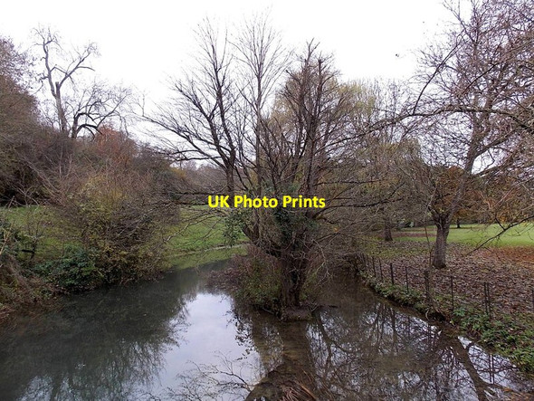 Photo 6"x4" Tree in By Brook, Castle Combe Castle Combe c2013