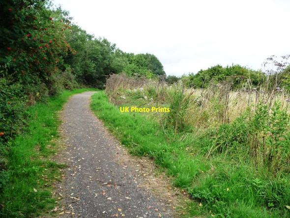 Photo 6"x4" Footpath curving east towards Wood Lane Newmillerdam c2015
