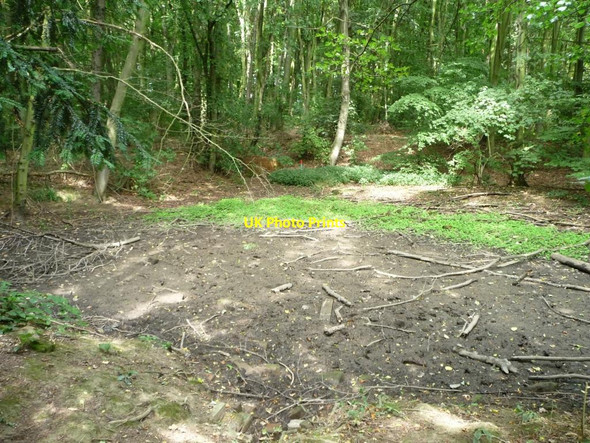 Photo 6"x4" Dried-up pond, Garden Plantation Notton\/SE3413 c2015