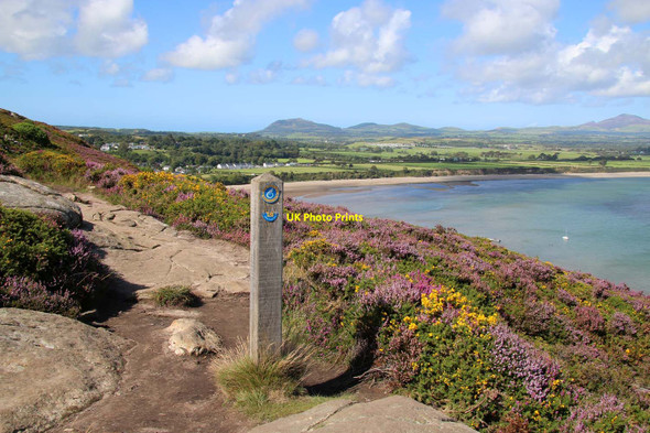 Photo 6"x4" The Wales Coast Path on Mynydd Tir y Cwmwd Tan-y-mynydd\/SH3230 c2015