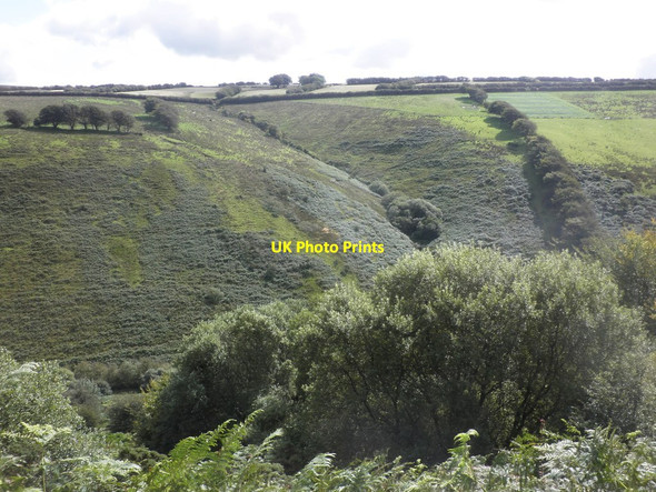 Photo 6"x4" Looking across the Sherdon Valley Withypool c2015