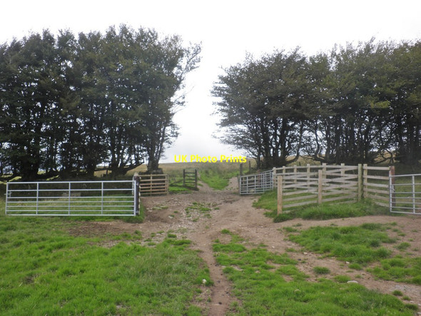 Photo 6"x4" Gateway, leading to Horsen Hill North Radworthy c2015