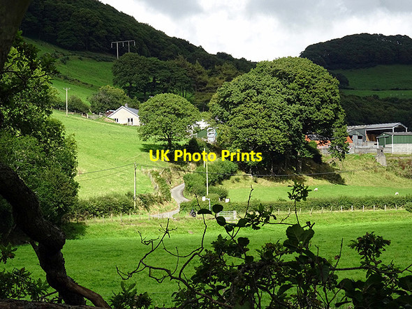 Photo 6"x4" Tycam farm Aberffrwd\/SN6878 c2015