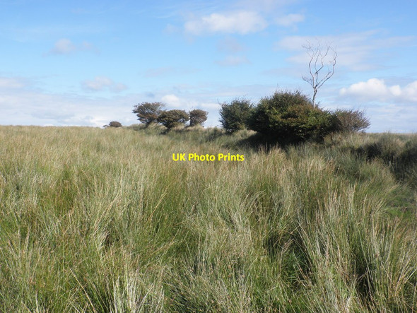 Photo 6"x4" Rough moorland, above Sherdon Valley North Radworthy c2015