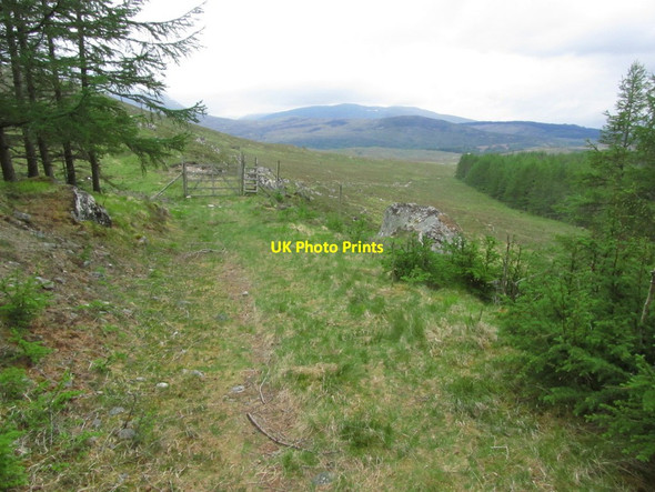 Photo 6"x4" Pathway at edge of forest below Creag Dhubh near Fersit Fersit c2015