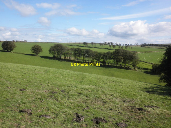 Photo 6"x4" Pastureland, above the Mole Valley North Radworthy c2015