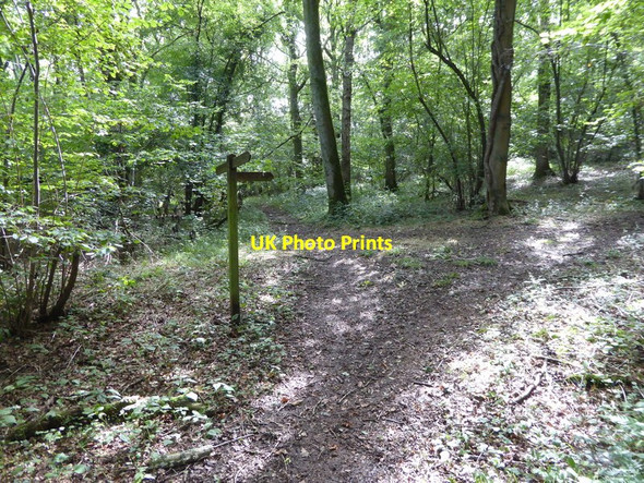 Photo 6"x4" Path junction in Birch Copse Hole Street c2015