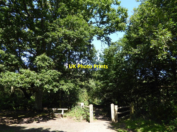 Photo 6"x4" Seat and tracks near the top of Washington Common Heath Common\/TQ1114 c2015