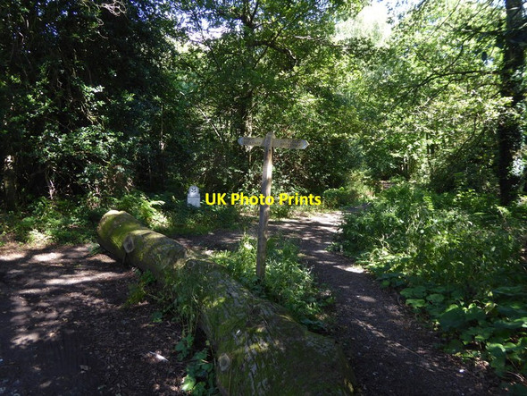 Photo 6"x4" Footpath junction on Georges Lane Heath Common\/TQ1114 c2015