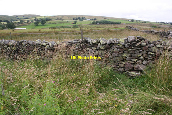 Photo 6"x4" View over dry stone wall NE of Greenholme Greenholme\/NY5905 c2015