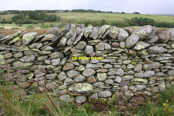 Photo 6"x4" Junction of walls beside minor road near Brackenhall Greenholme\/NY5905 c2015