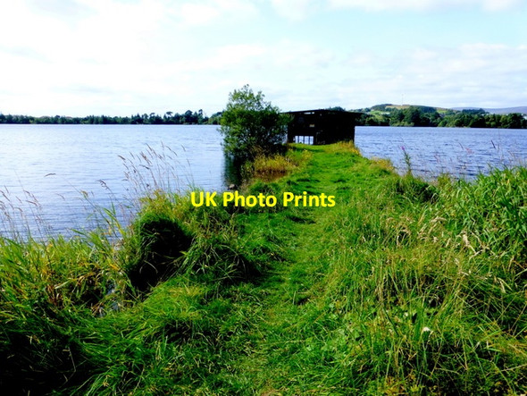 Photo 6"x4" Grassy causeway at Loughmacrory Lough Milltown\/H5775 c2015