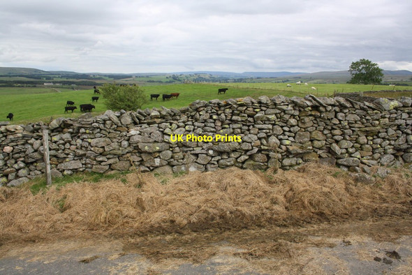Photo 6"x4" Dry stone wall beside minor road north of High Whinhowe Greenholme\/NY5905 c2015