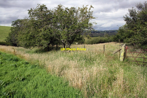 Photo 6"x4" Gateway on path from High Whinhowe to Low Whinhowe Greenholme\/NY5905 c2015