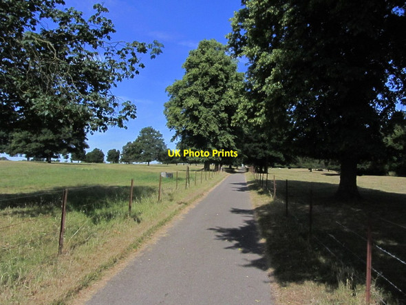 Photo 6"x4" Driveway leading away from Langleys House, Great Waltham Great Waltham c2015