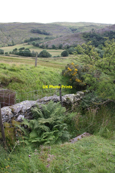 Photo 6"x4" View from minor road NE of Midwath Stead Greenholme\/NY5905 c2015