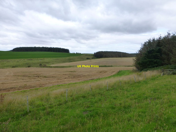 Photo 6"x4" Arable fields and woodland Doddington\/NT9932 c2015