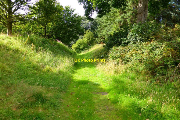 Photo 6"x4" Falkirk, Callendar Park [2] Falkirk c2015