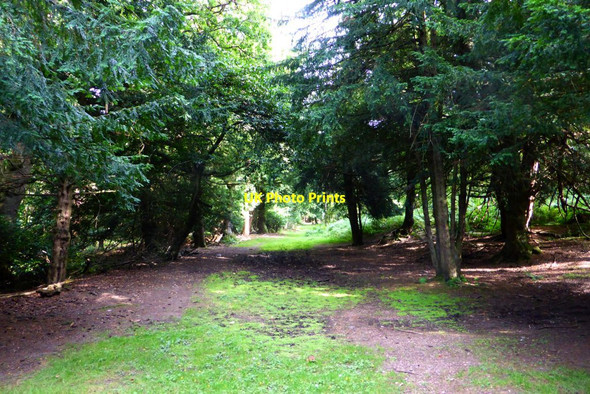 Photo 6"x4" Falkirk, Callendar Park [4] Falkirk c2015