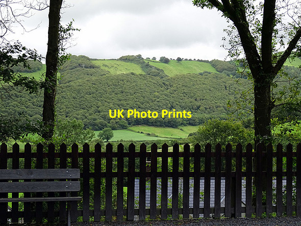 Photo 6"x4" A view across Cwm Rheidol from Aberffrwd station Aberffrwd\/SN6878 c2015