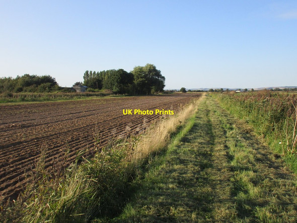 Photo 6"x4" Footpath near the Land of Nod Rascal Moor c2015