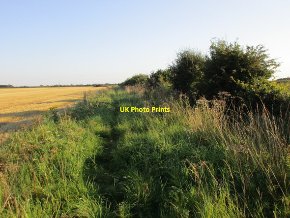 Photo 6"x4" Diverted bridleway Rascal Moor c2015