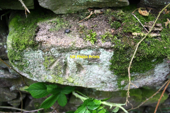 Photo 6"x4" Benchmark on wall on south side of Craven Bank Lane Settle c2015