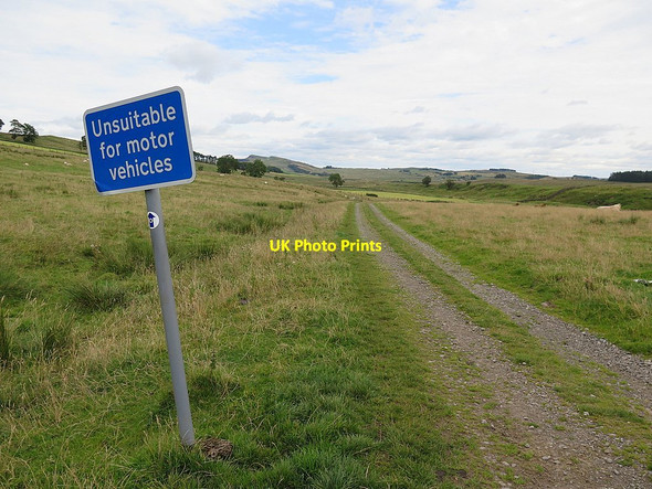 Photo 6"x4" Track south of Alloa Lea Blenkinsopp Hall c2015