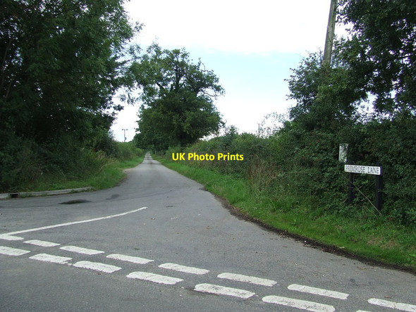 Photo 6"x4" Primrose Lane Clay Common c2015
