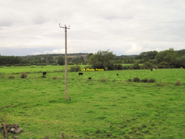 Photo 6"x4" View from a Bristol-Cardiff train - grazing land looking towards St Mary's, Llanwern Llanwern c2015