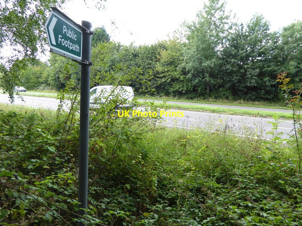 Photo 6"x4" Looking across the A24 from footpath Ashington\/TQ1316 c2015