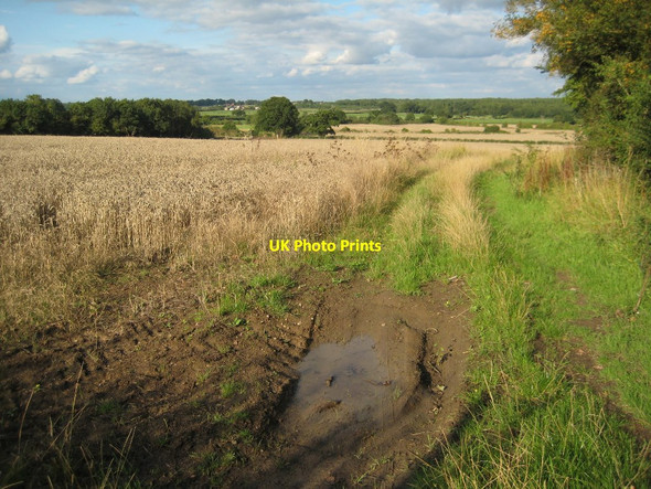 Photo 6"x4" Farmland at Pirton High Green\/SO8745 c2015