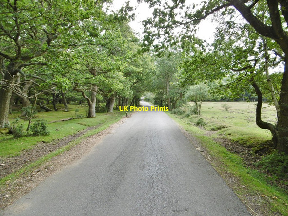 Photo 6"x4" Ashurst, farm road Ashurst\/SU3310 c2015