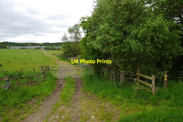 Photo 6"x4" Farm track, Hartwoodburn Selkirk c2015