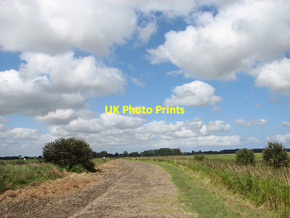 Photo 6"x4" Footpath along the River Thurne Thurne c2015