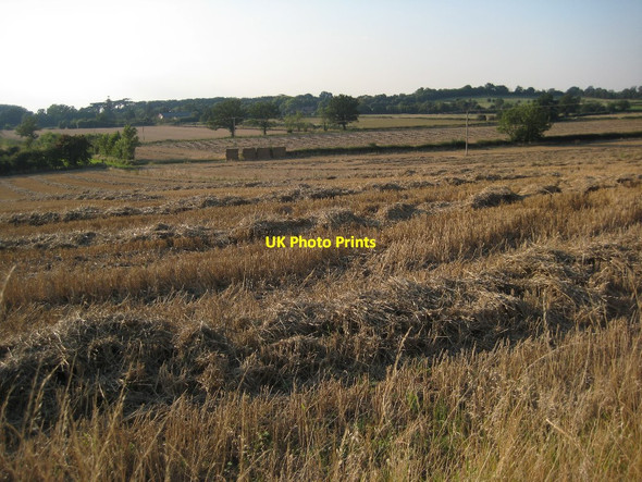 Photo 6"x4" Straw in a stubble field Pirton\/SO8847 c2015