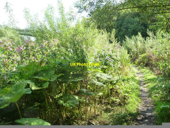 Photo 6"x4" Public footpath on the south bank of the River Aire Bingley\/SE1139 c2015