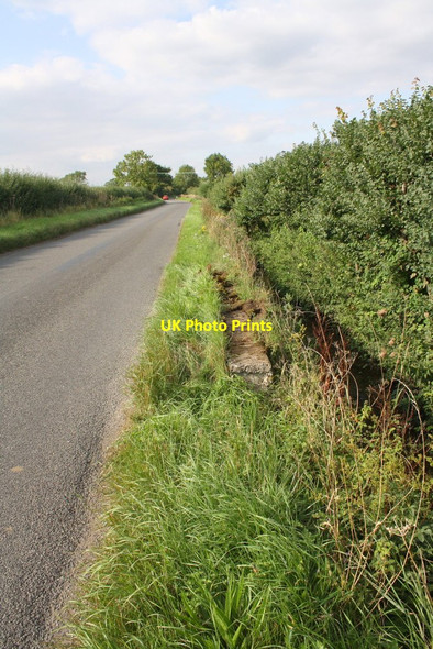 Photo 6"x4" Low wall, ditch and hedge beside road to Woodeaton Elsfield c2015