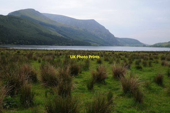 Photo 6"x4" Llyn Cwellyn Rhyd-Ddu\/SH5652 c2015