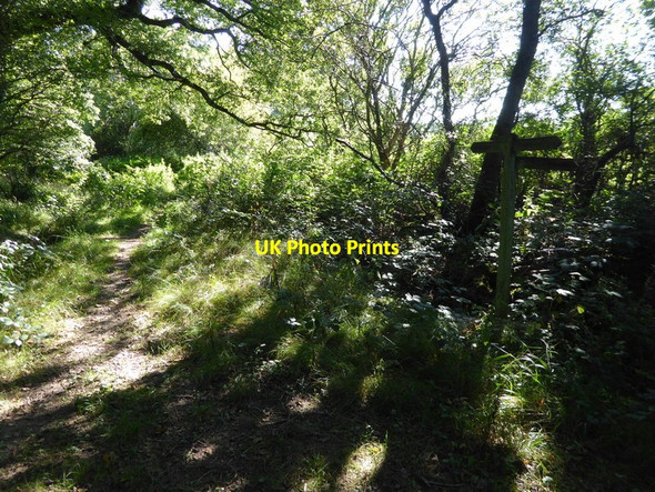 Photo 6"x4" Bridleway junction in Calcot Wood Ashurst\/TQ1716 c2015