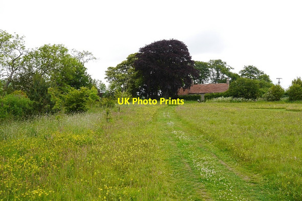 Photo 6"x4" Meadow, Kellie Castle Arncroach c2015
