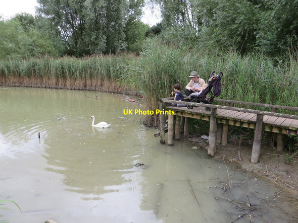 Photo 6"x4" Feeding the birds on the lake Caldicot\/Cil-y-coed c2015