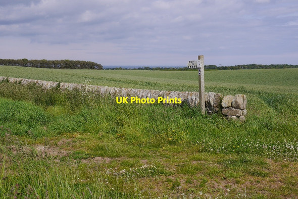 Photo 6"x4" Path sign, Kingsbarns Kilduncan c2015